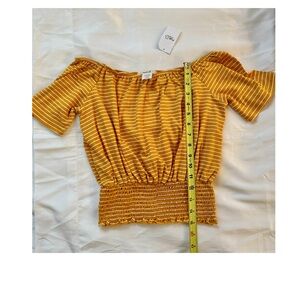 Gold Stripe Short Sleeve🖤